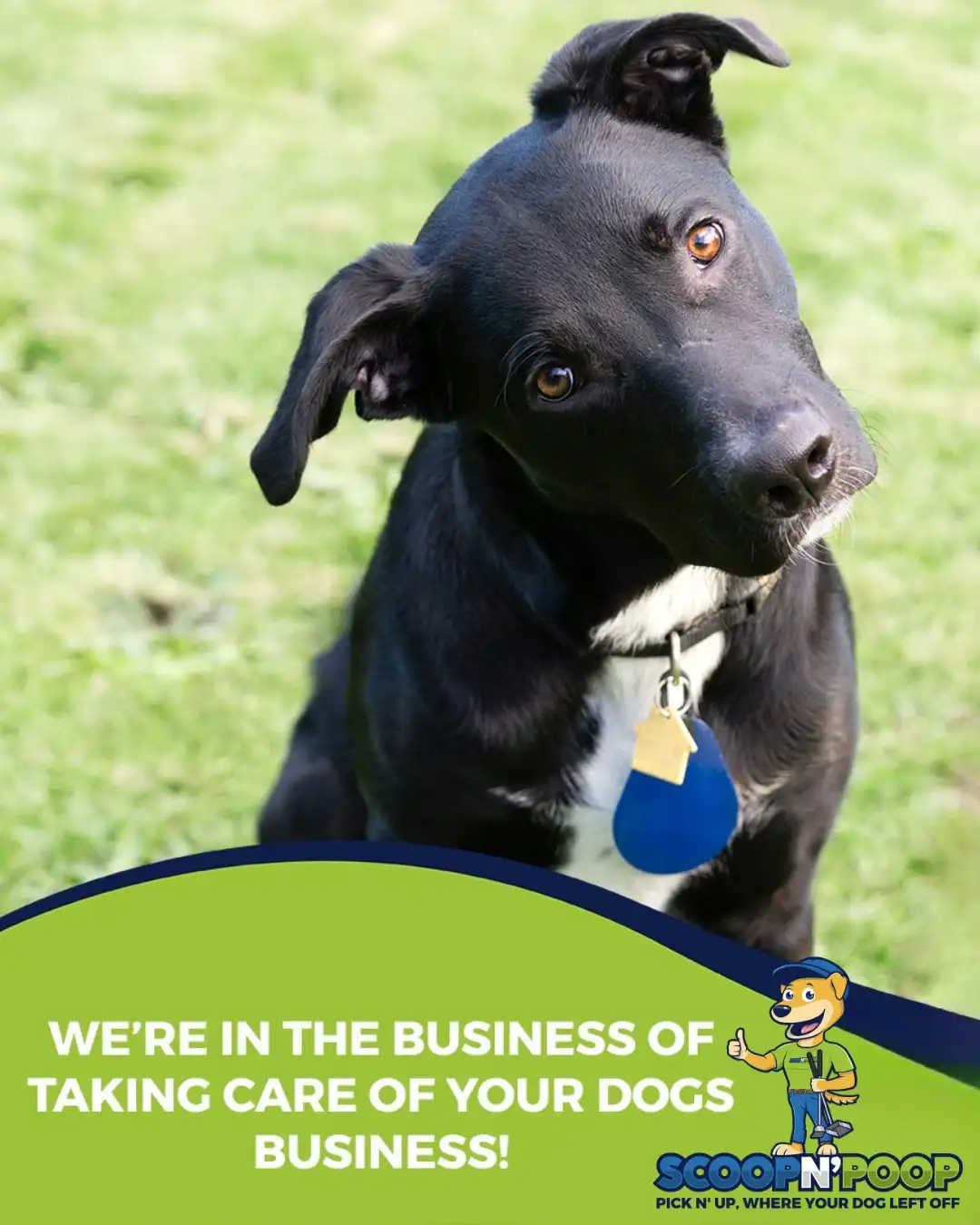 Scoop N Poop pet waste removal